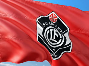 开云体育在线-皇马强势瑞士，莱万惊艳世界