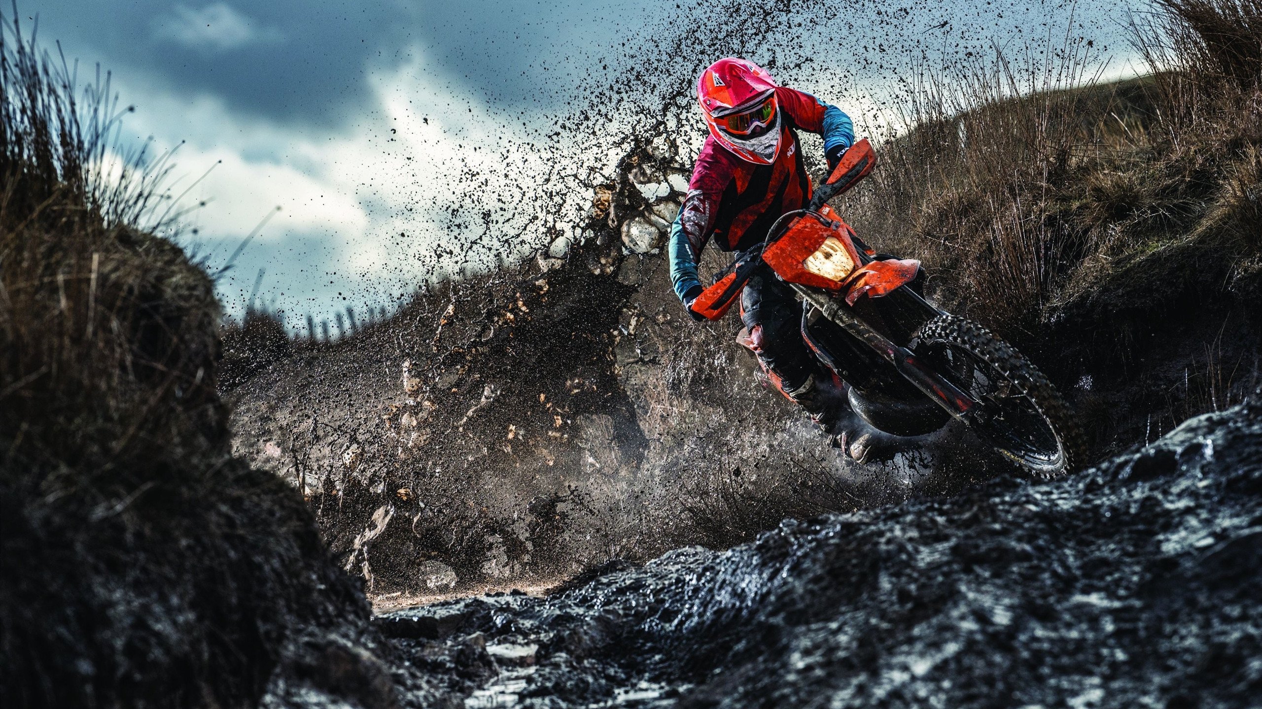 国际纵队颠覆北美霸权？喀麦隆 VS 巴拉圭，一场改写NBA总决赛基因的异次元对决