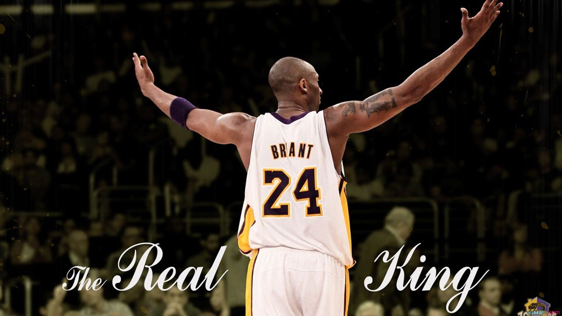 欧冠烽火映照CBA绝境，当深圳的生死战遇上皇马的王者基因