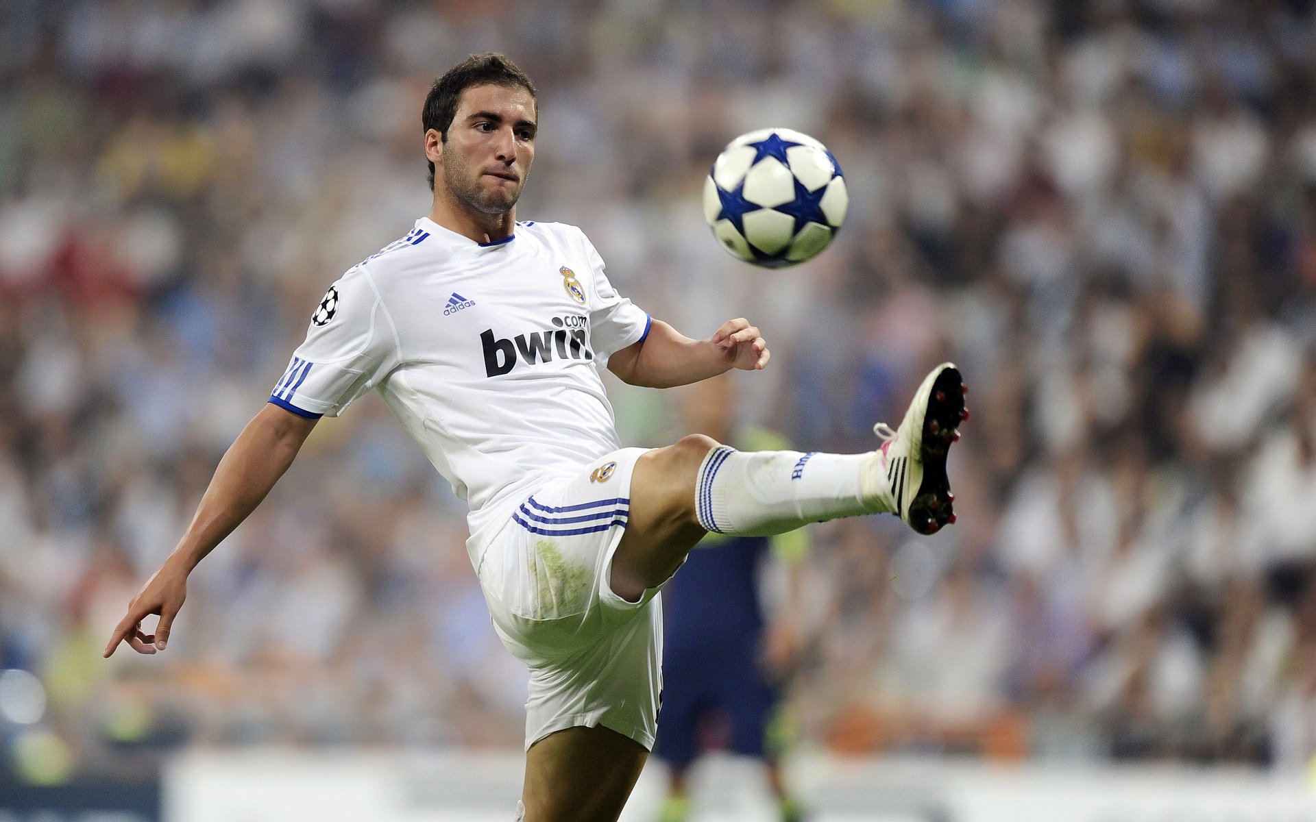 美加墨世界杯热潮中的篮球盛宴，勇士险胜开拓者，焦点战引爆全网